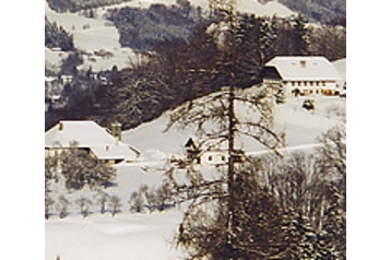 Austria Privát Steinbach am Attersee, Exterior